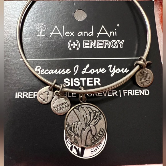 2013 Alex and Ani Sister Bangle - Picture 2 of 2
